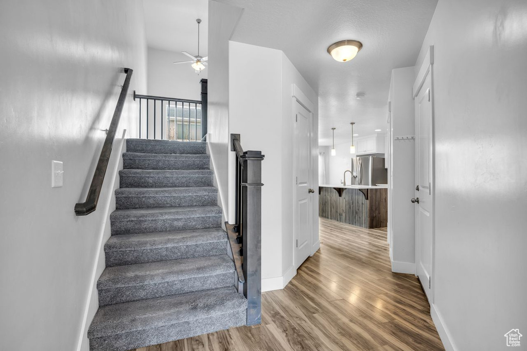 Stairway featuring ceiling fan, sink, and dark hardwood / wood-style floors