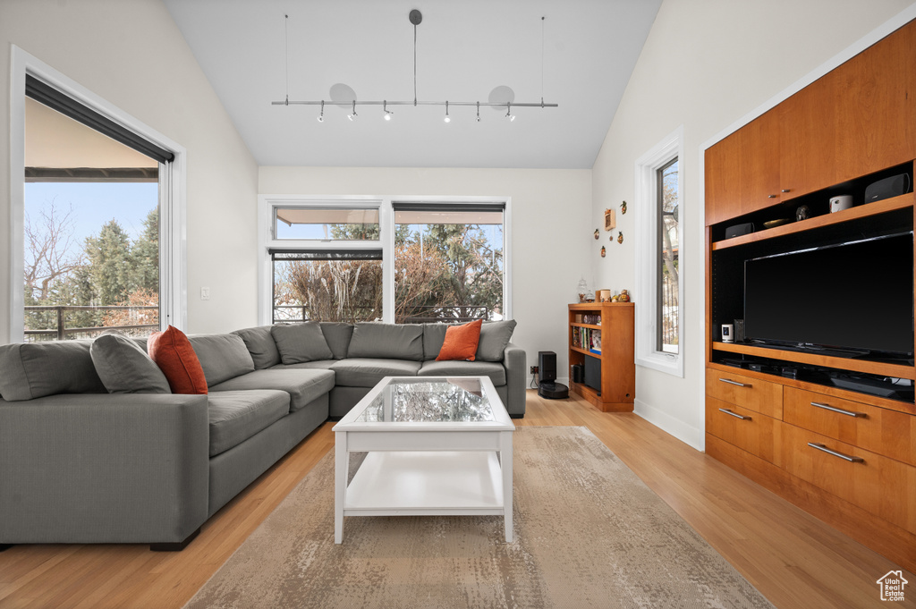 Living room with rail lighting, light hardwood / wood-style floors, and plenty of natural light