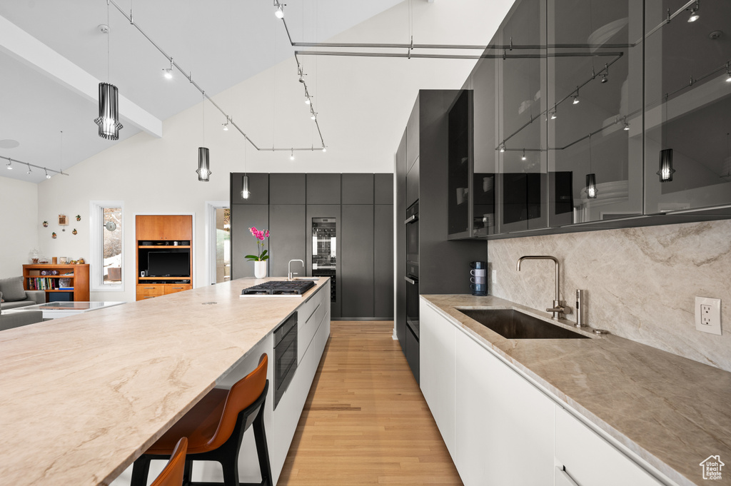Kitchen featuring decorative light fixtures, rail lighting, light wood-type flooring, backsplash, and sink