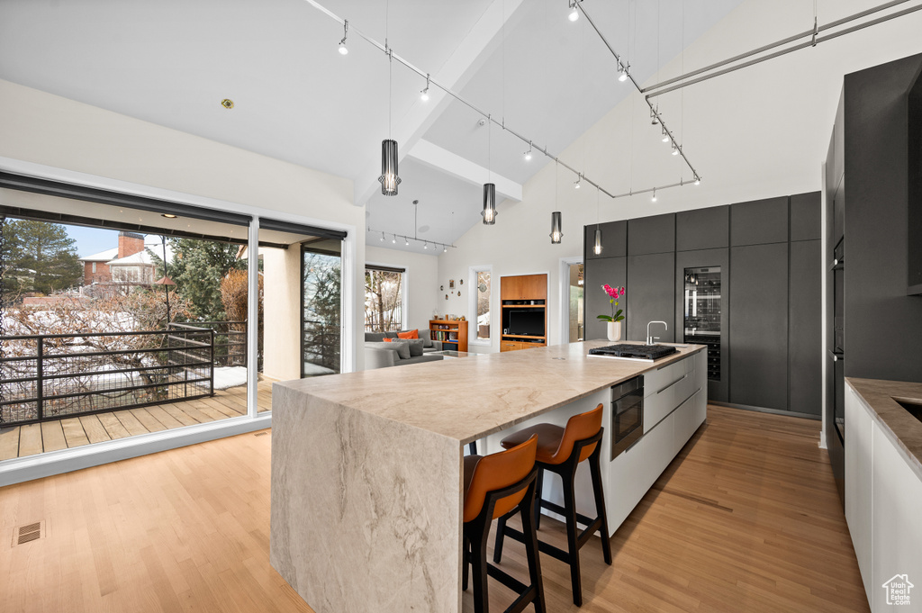Kitchen featuring light stone counters, a center island with sink, light hardwood / wood-style flooring, track lighting, and hanging light fixtures