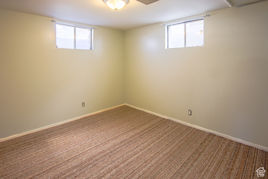 Basement with plenty of natural light and carpet floors