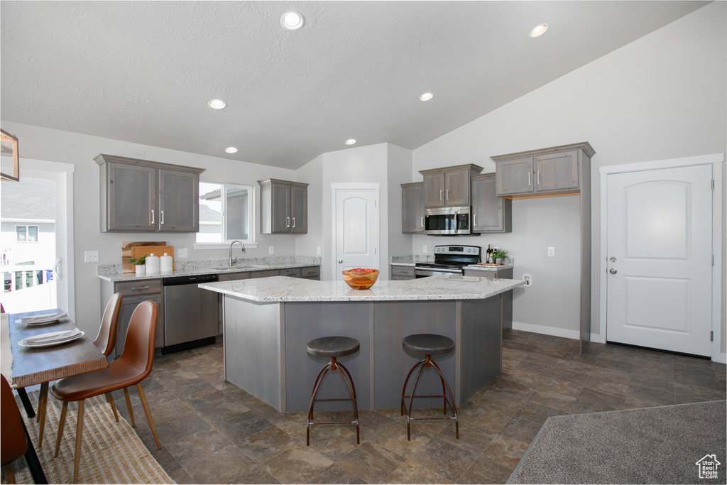 Kitchen featuring stainless steel appliances, a kitchen island, vaulted ceiling, and a healthy amount of sunlight