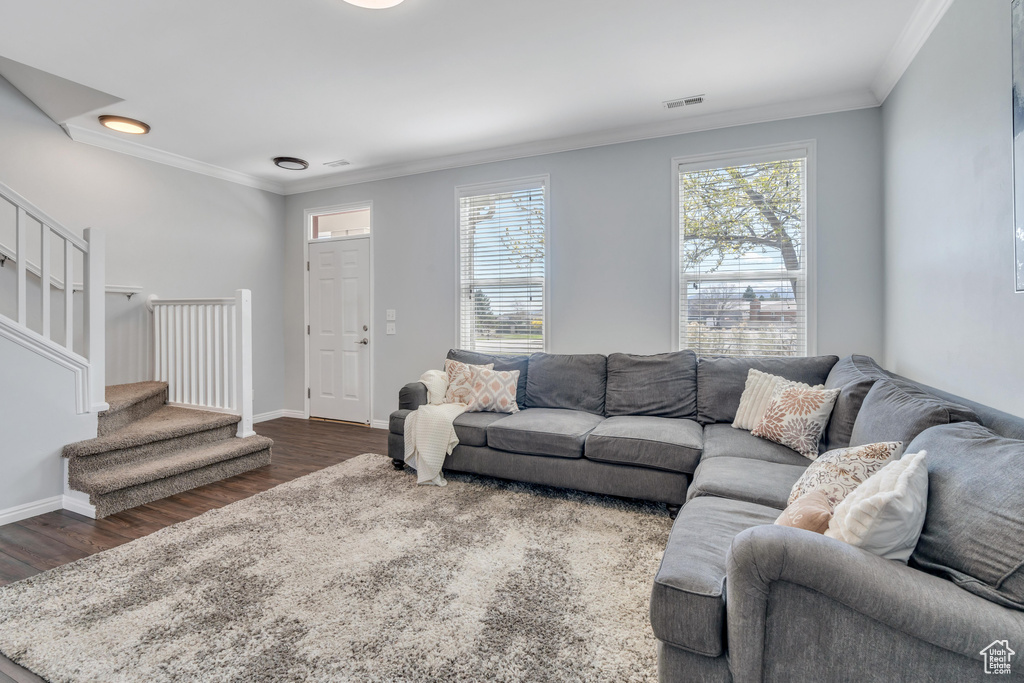 Living room featuring ornamental molding and dark hardwood / wood-style flooring