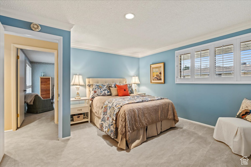 Bedroom featuring crown molding, light colored carpet, and a textured ceiling