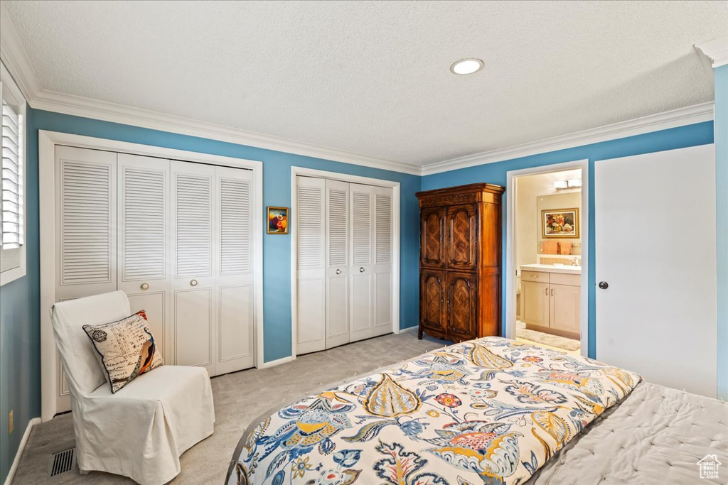 Carpeted bedroom with crown molding, two closets, ensuite bath, and a textured ceiling