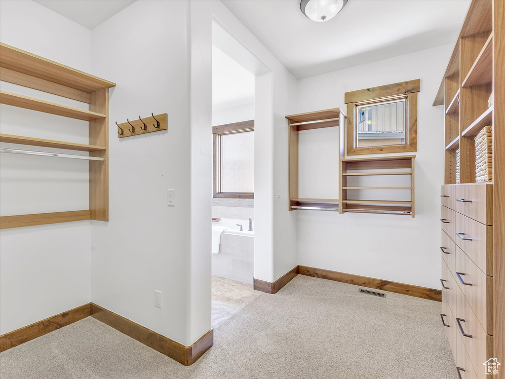 Spacious closet featuring carpet flooring