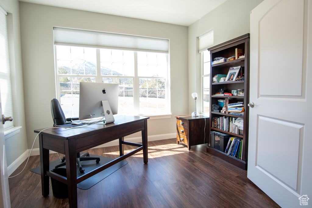 Home office featuring a healthy amount of sunlight and dark hardwood / wood-style flooring