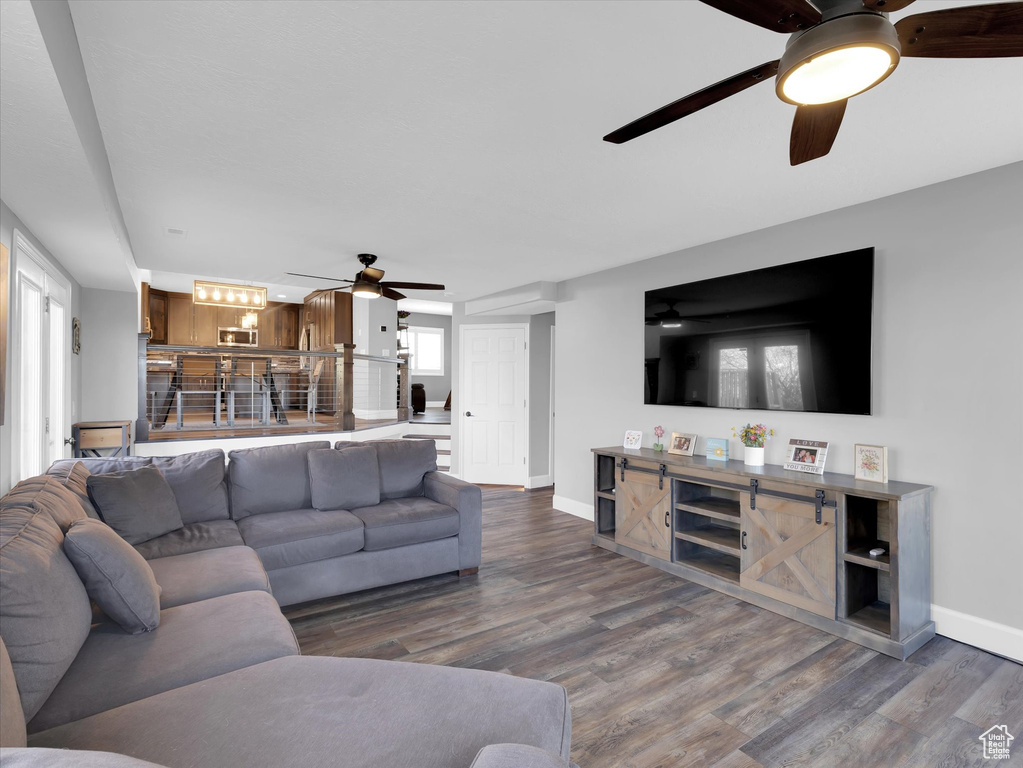 Living room with ceiling fan and dark hardwood / wood-style flooring