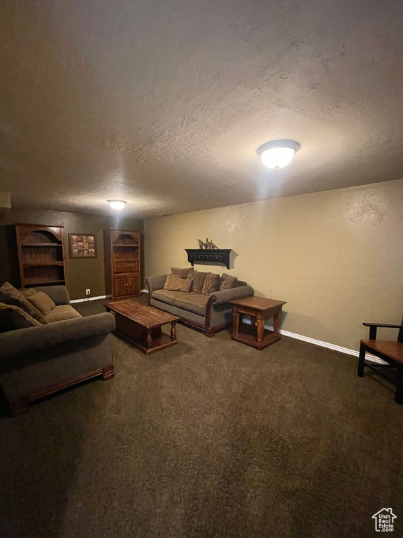 Living room with a textured ceiling and carpet floors