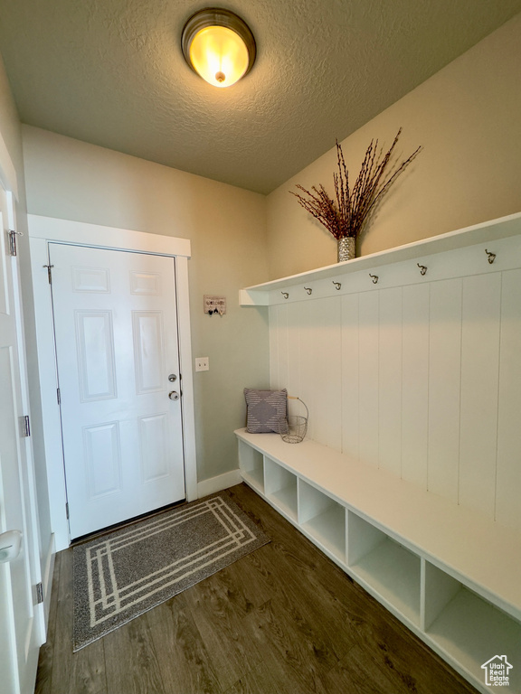 Mudroom with a textured ceiling and dark wood-type flooring
