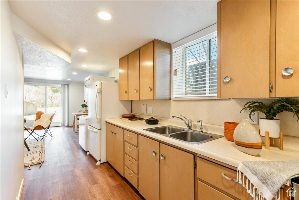 Kitchen with light hardwood / wood-style flooring, sink, and white fridge