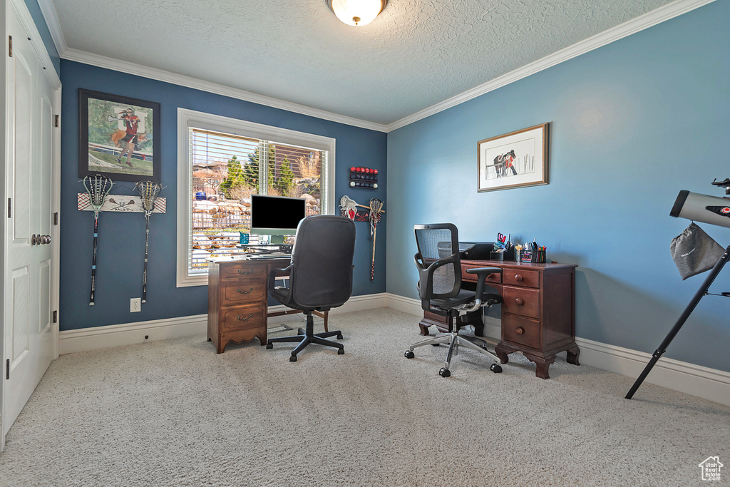 Office featuring a textured ceiling, light carpet, and crown molding
