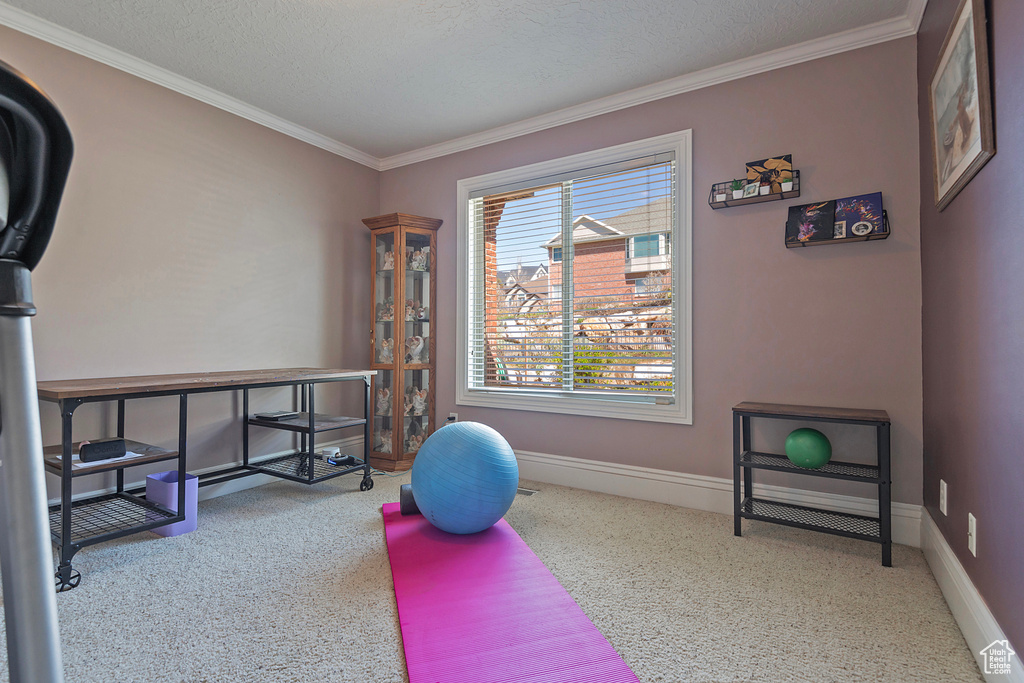 Exercise room with a textured ceiling, ornamental molding, and light colored carpet