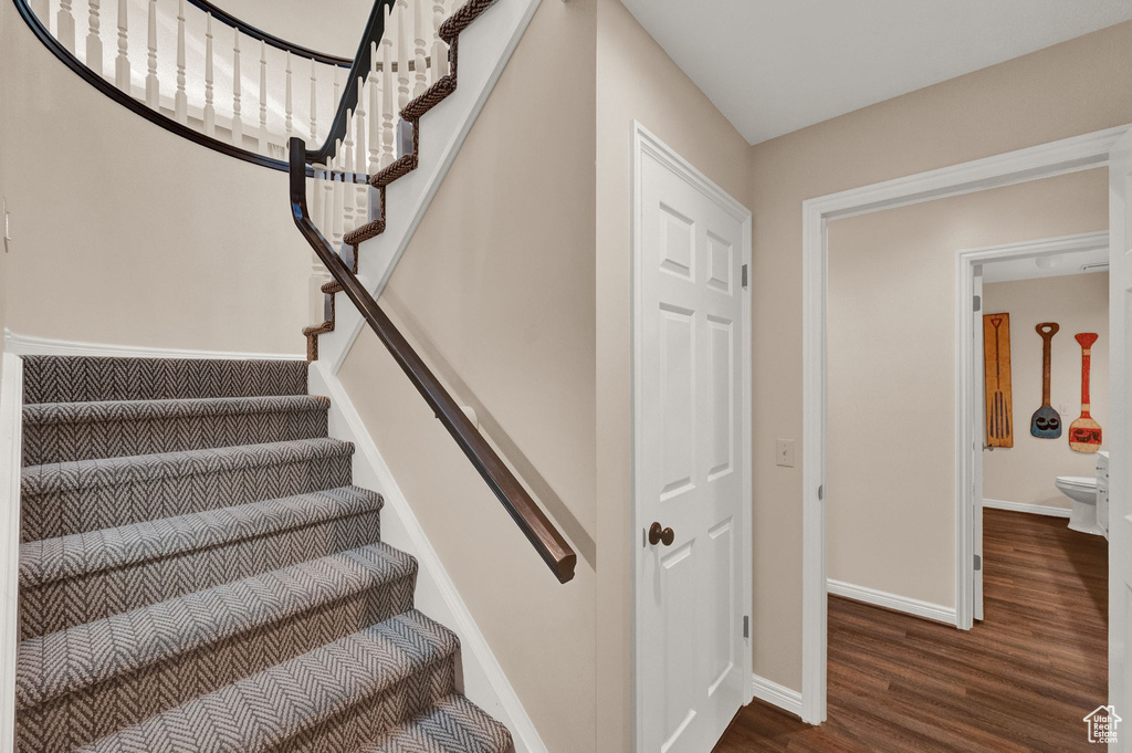 Stairs with dark hardwood / wood-style floors