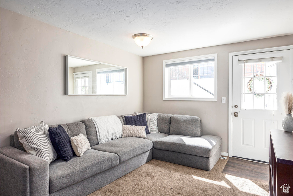 Living room featuring dark hardwood / wood-style flooring and plenty of natural light