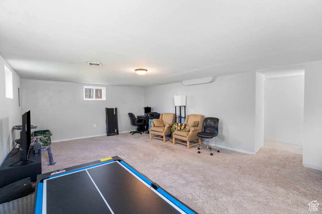 Recreation room featuring light colored carpet and a healthy amount of sunlight