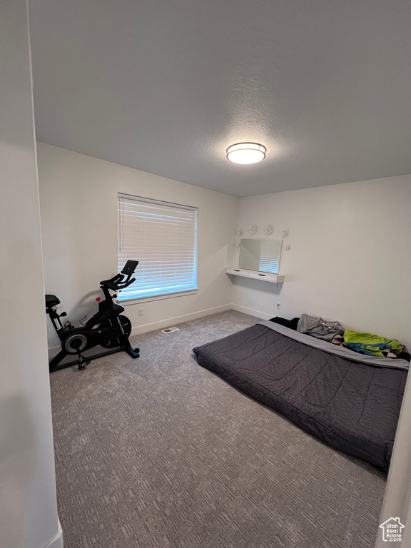 Workout room with a textured ceiling and carpet floors