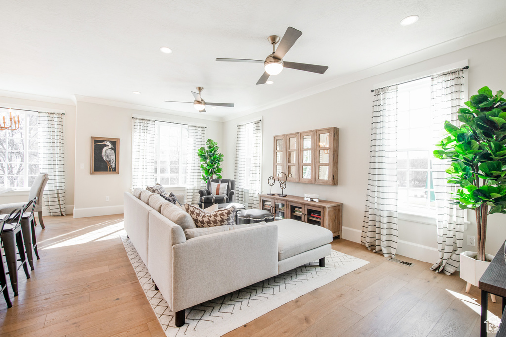 Living room featuring ornamental molding, a healthy amount of sunlight, light hardwood / wood-style floors, and ceiling fan