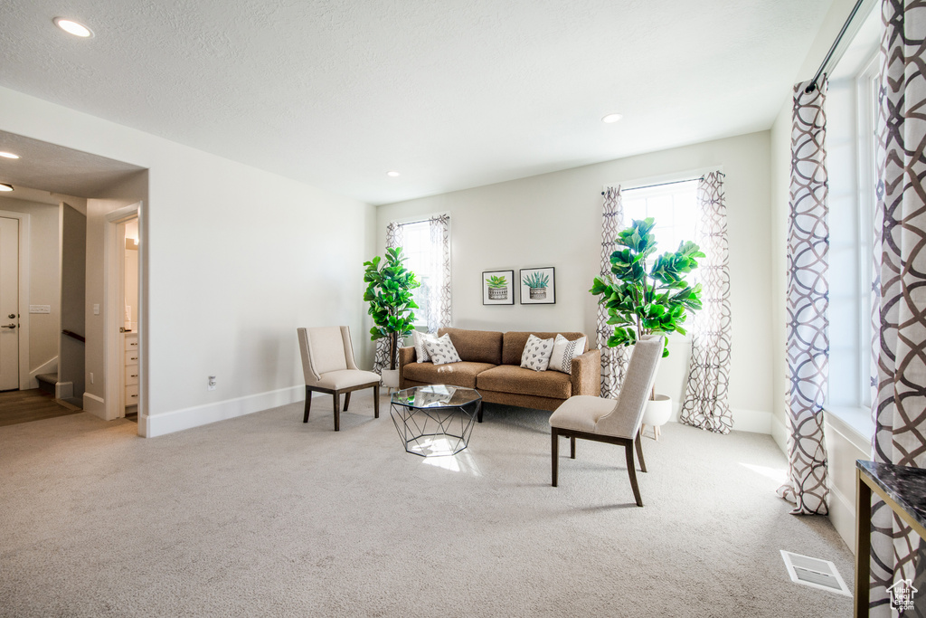 Living room featuring a healthy amount of sunlight, light colored carpet, and a textured ceiling