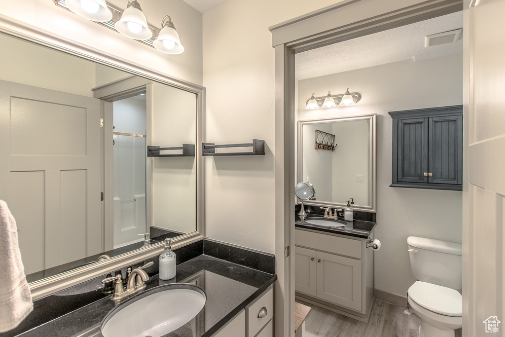 Bathroom featuring vanity with extensive cabinet space, toilet, and hardwood / wood-style floors