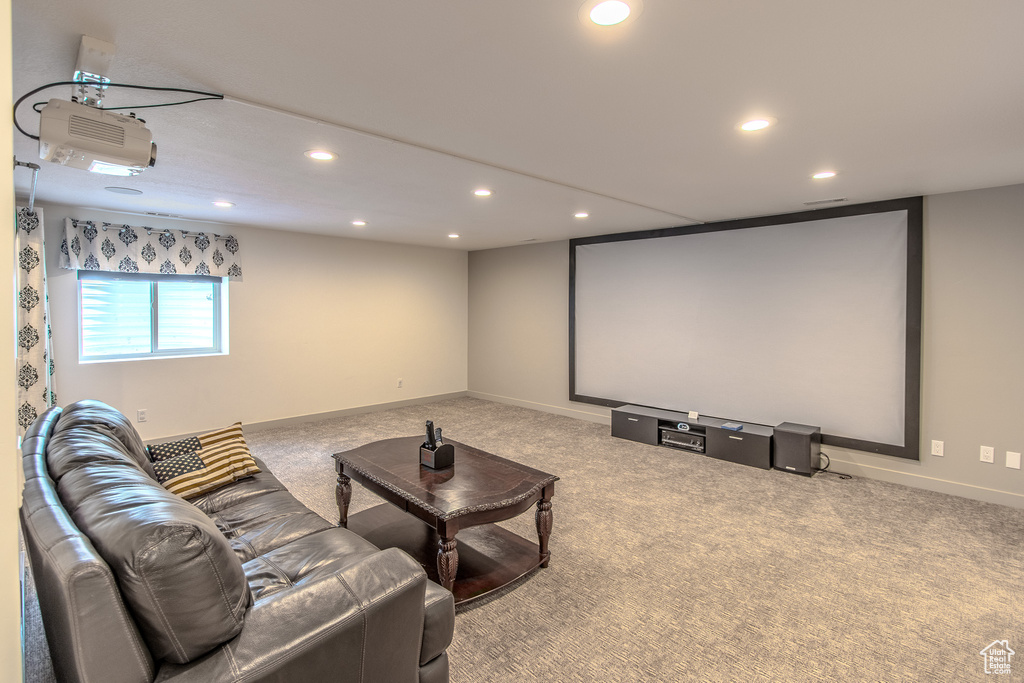 Home theater with light carpet
