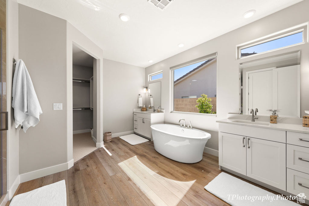 Bathroom featuring plenty of natural light, vanity, and hardwood / wood-style floors