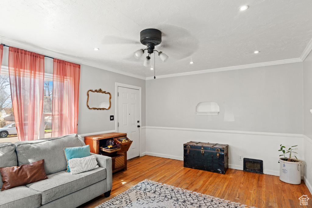 Living room featuring ornamental molding, ceiling fan, and light wood-type flooring