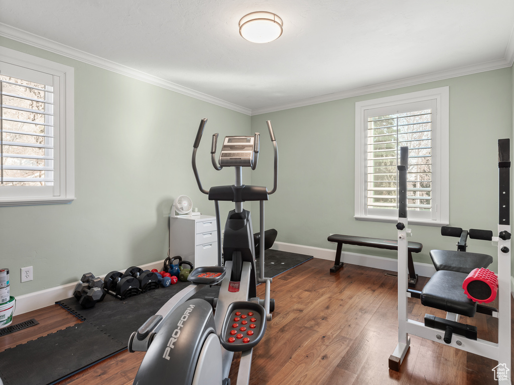 Workout area featuring ornamental molding and dark wood-type flooring