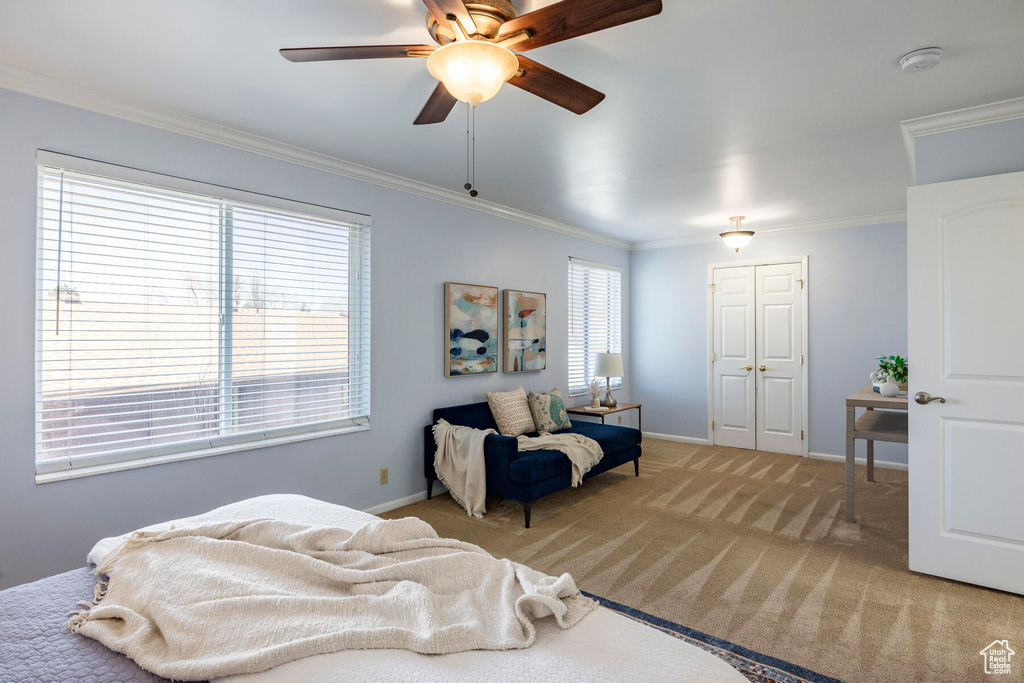 Carpeted bedroom with a closet, ceiling fan, crown molding, and multiple windows