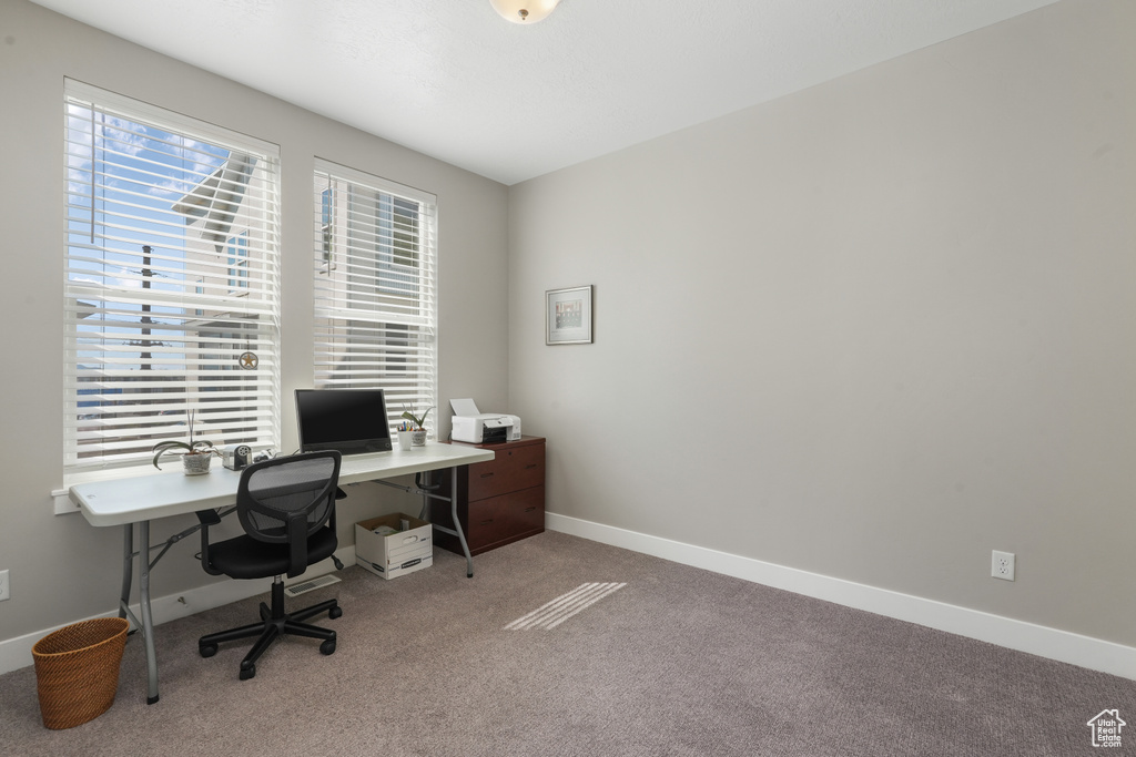 Office with carpet flooring and a wealth of natural light