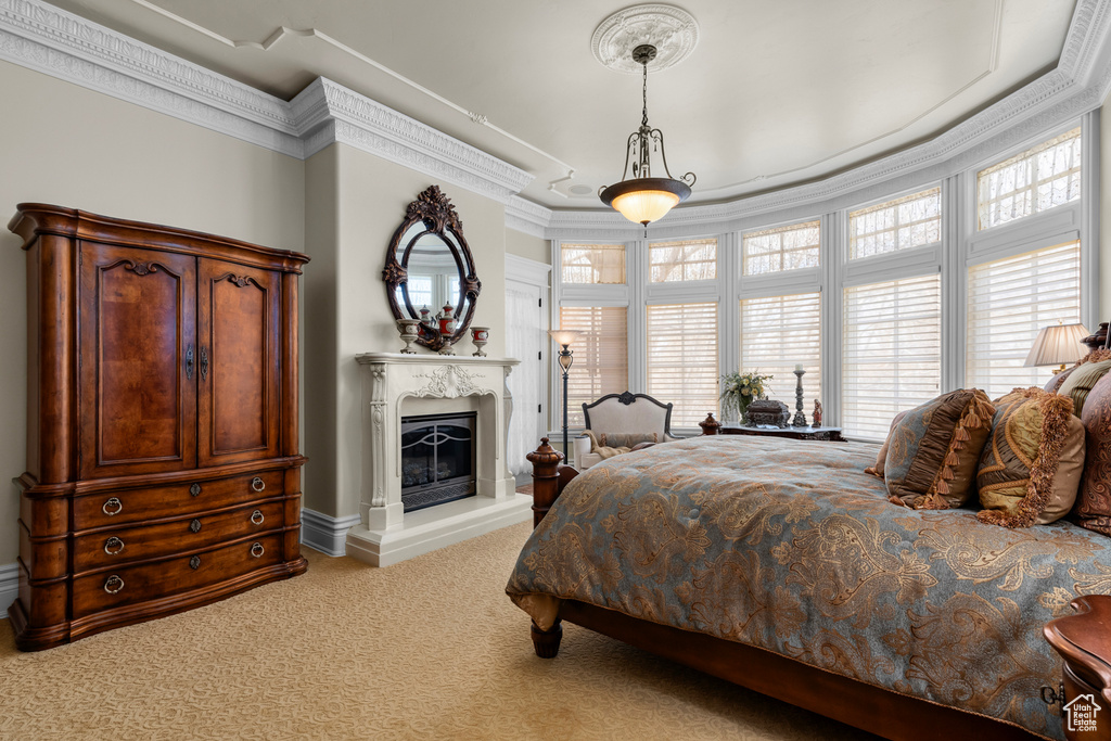 Carpeted bedroom with a raised ceiling and crown molding