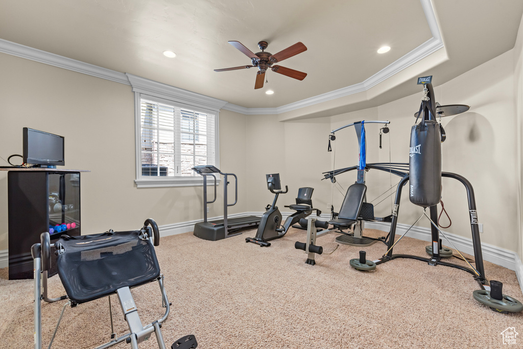 Workout room featuring a raised ceiling, ceiling fan, crown molding, and light carpet