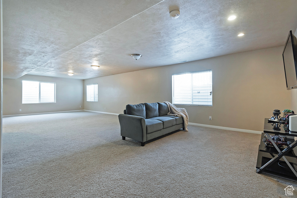 Living room featuring a healthy amount of sunlight and light carpet