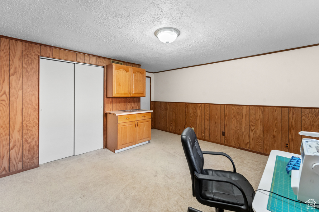 Unfurnished office with a textured ceiling, light colored carpet, and wood walls