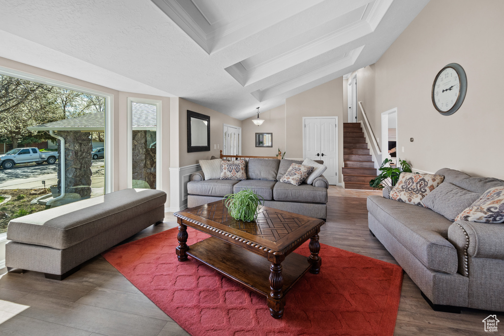Living room featuring crown molding, dark wood-type flooring, and vaulted ceiling