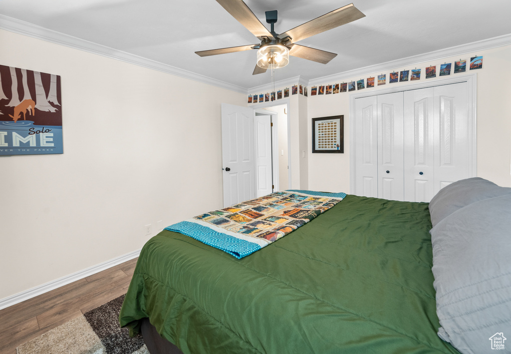 Bedroom with ceiling fan, a closet, ornamental molding, and dark hardwood / wood-style floors