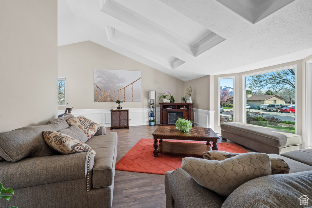 Living room featuring dark hardwood / wood-style flooring and lofted ceiling