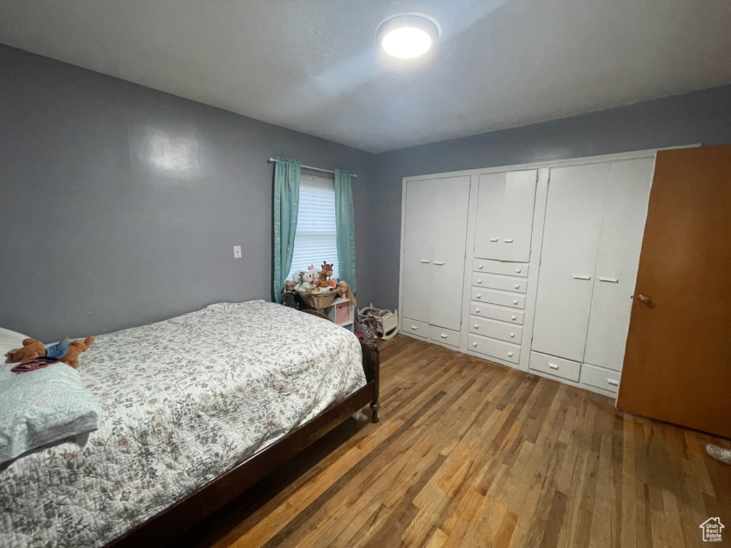 Bedroom with a closet and hardwood / wood-style floors