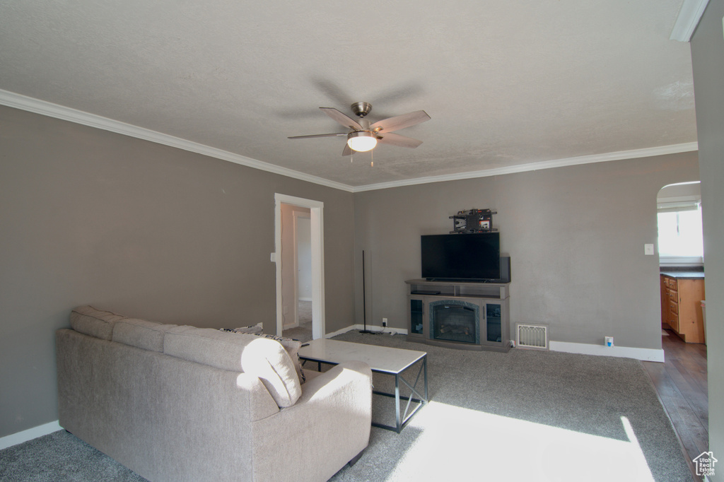 Living room with ceiling fan, carpet, and ornamental molding