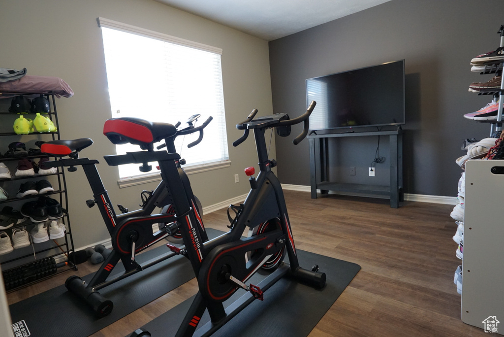 Workout room featuring dark hardwood / wood-style floors
