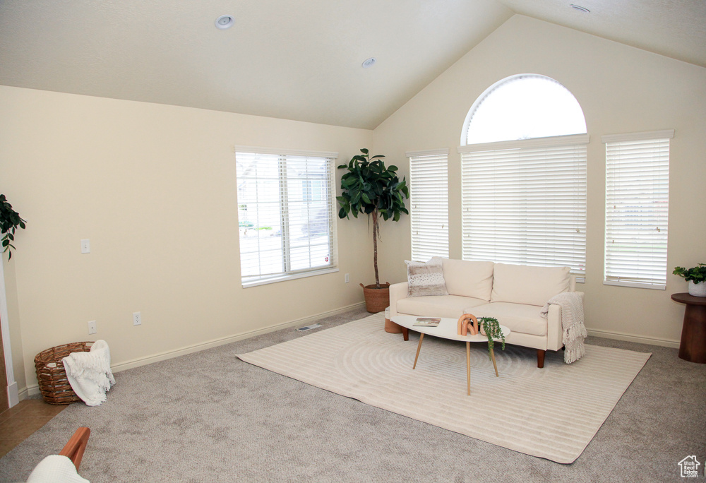 Sitting room featuring light colored carpet and high vaulted ceiling
