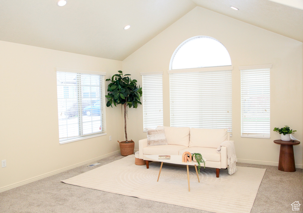 Sitting room with light colored carpet, high vaulted ceiling, and a healthy amount of sunlight