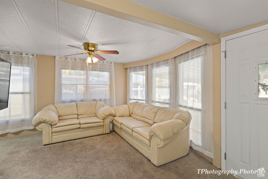 Carpeted living room with a healthy amount of sunlight, a textured ceiling, and ceiling fan