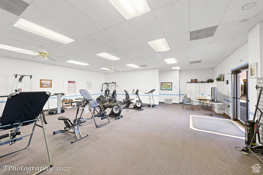 Workout area with a drop ceiling, ceiling fan, and carpet floors