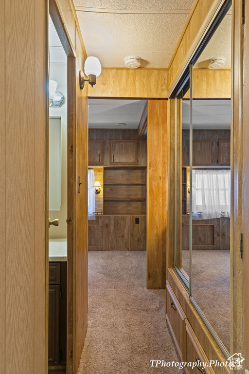 Hallway featuring wooden walls, carpet flooring, and a textured ceiling