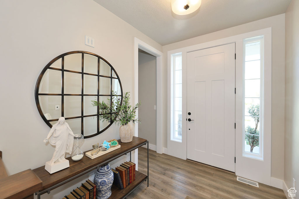 Entryway with hardwood / wood-style floors and plenty of natural light