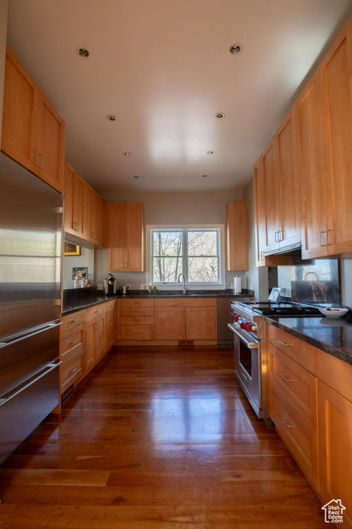 Kitchen featuring premium appliances, light brown cabinetry, sink, dark wood-type flooring, and extractor fan