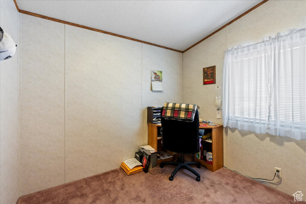 Carpeted office space featuring crown molding and a textured ceiling
