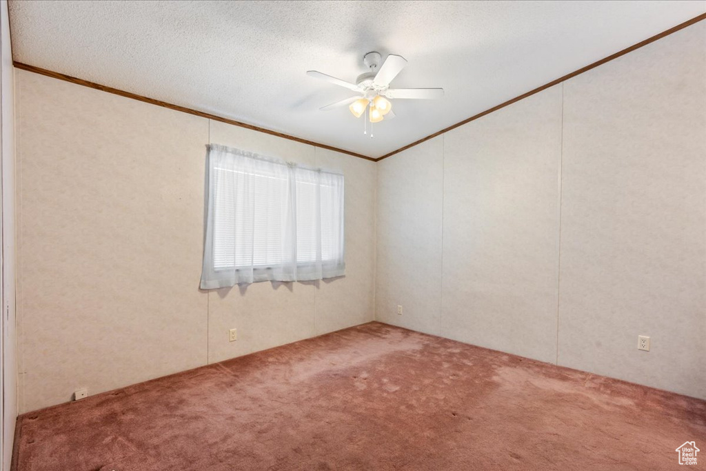 Unfurnished room with ceiling fan, carpet flooring, crown molding, and a textured ceiling