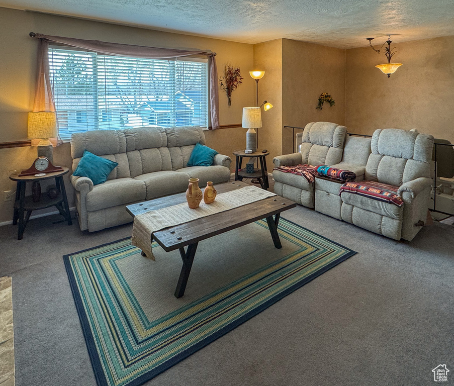 Living room with light carpet, a wealth of natural light, and a textured ceiling